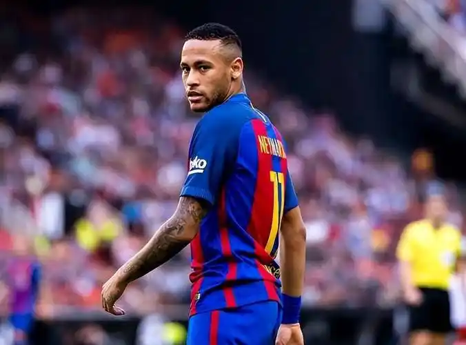 背后的亮点 背后的亮点